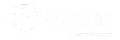 Sapien